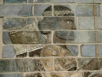/album/arqueologia-juridica/ar-jpg/